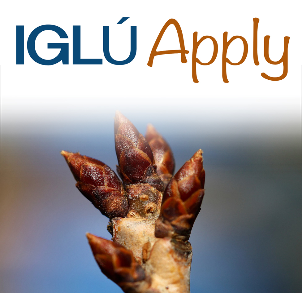 IGLÚ-Apply COD: E-003