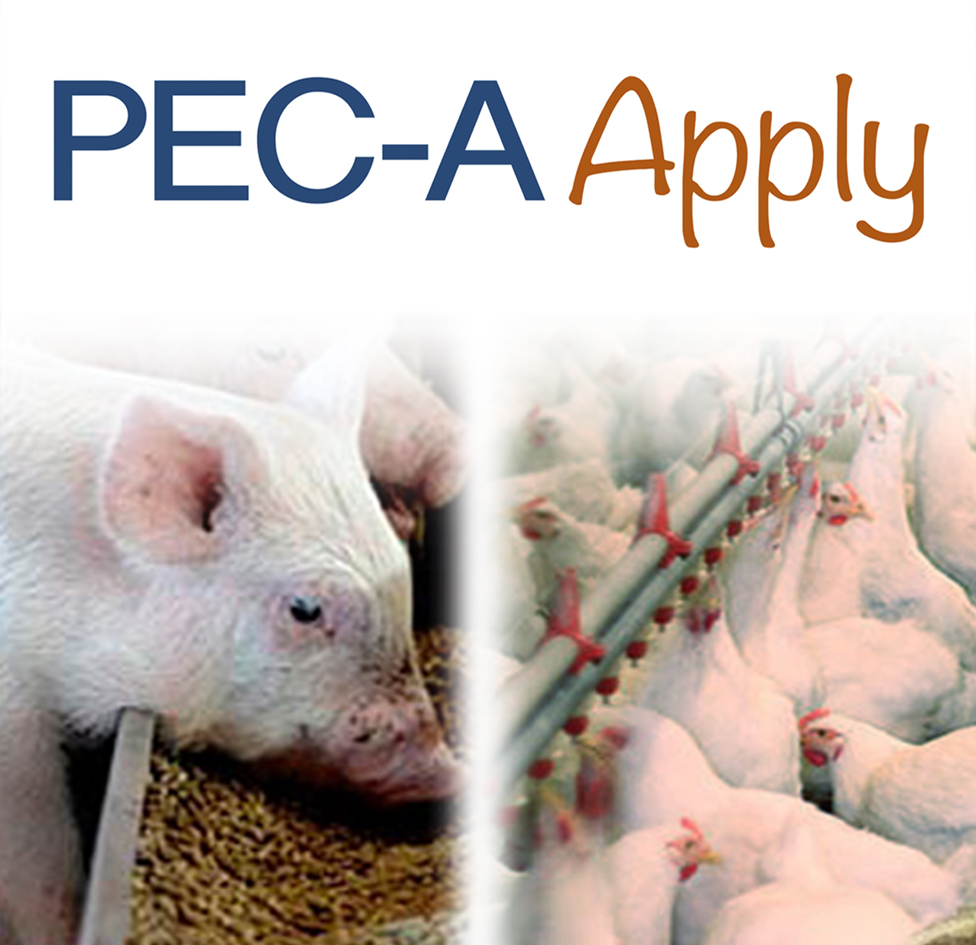 PEC-A Apply